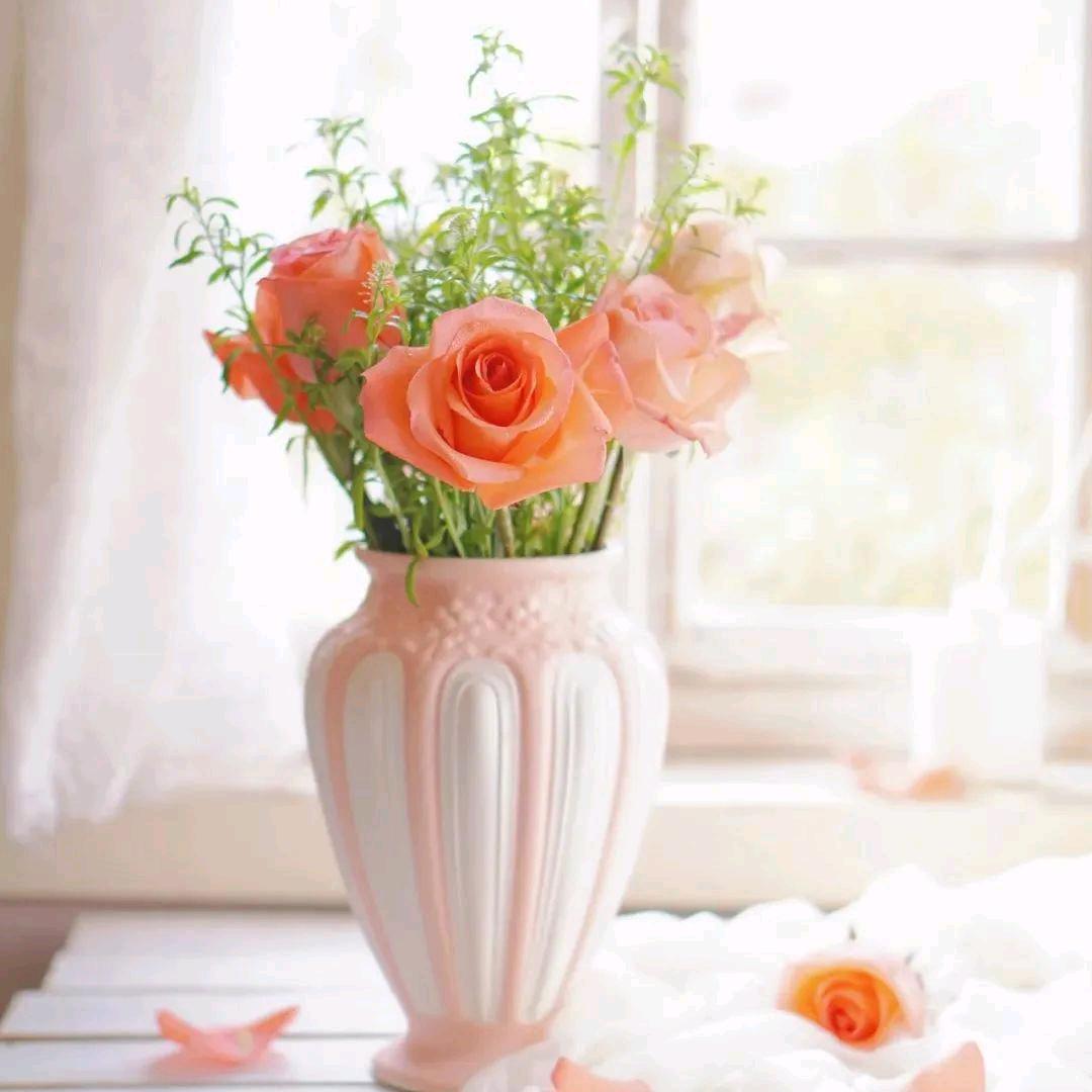 💞᭄虚伪ꦿ的᭄现໌ᮨ꯭້实༗（拒连赞）