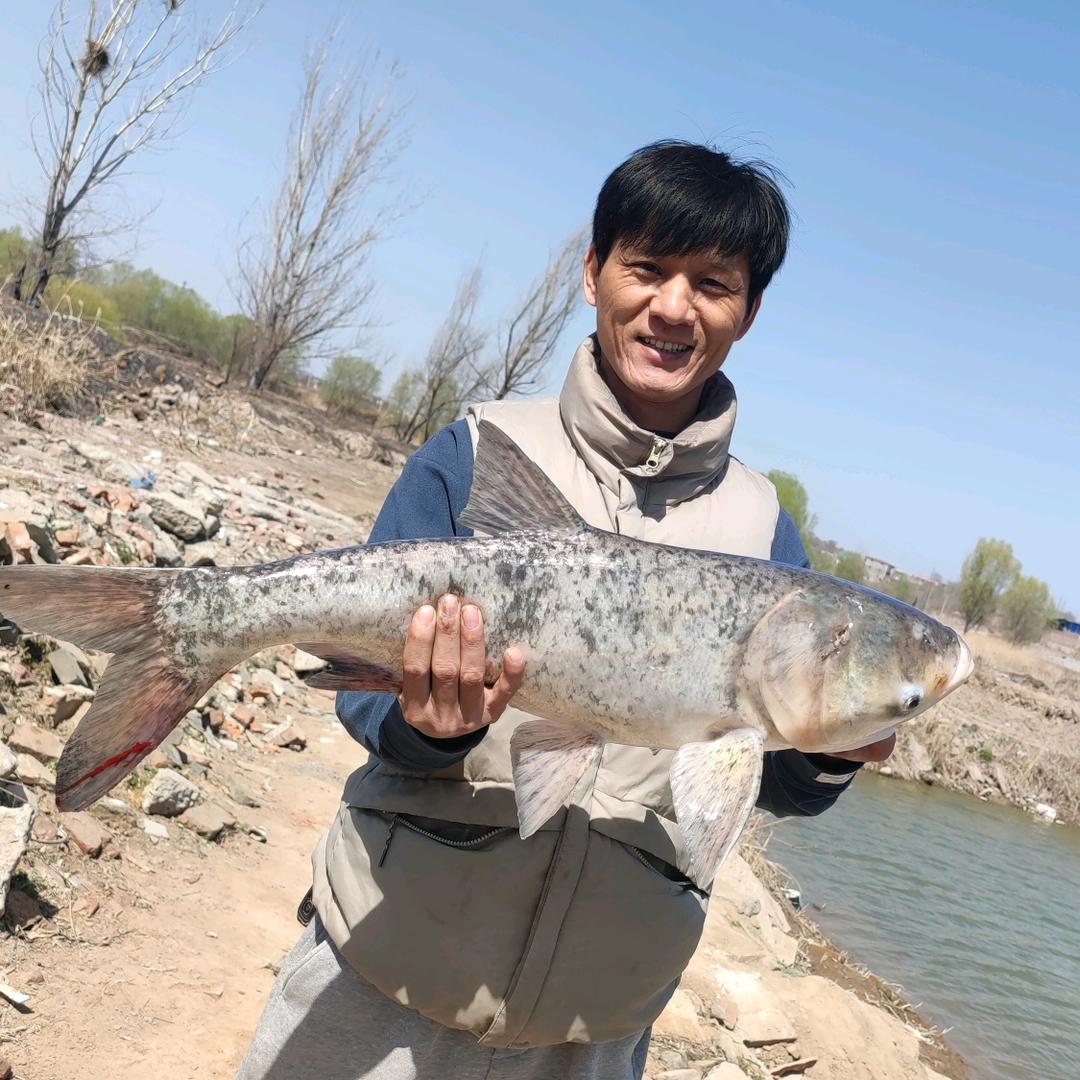 老孟的鱼乐生活