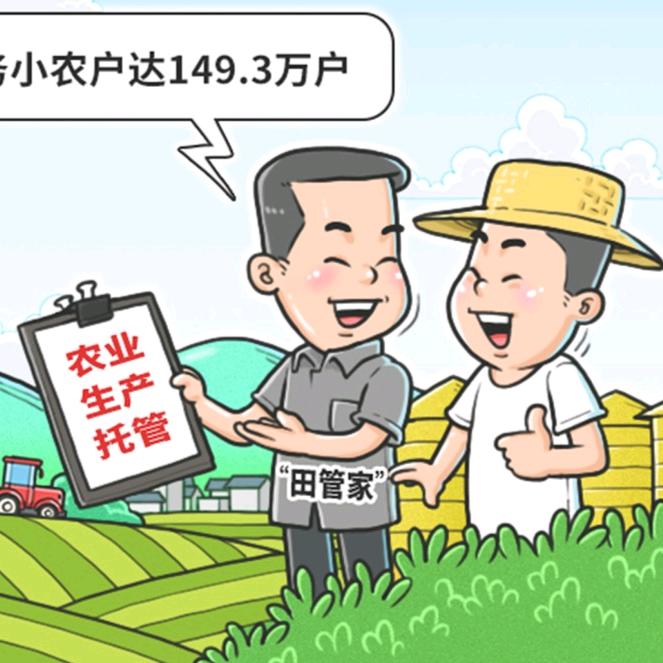 新疆新农人