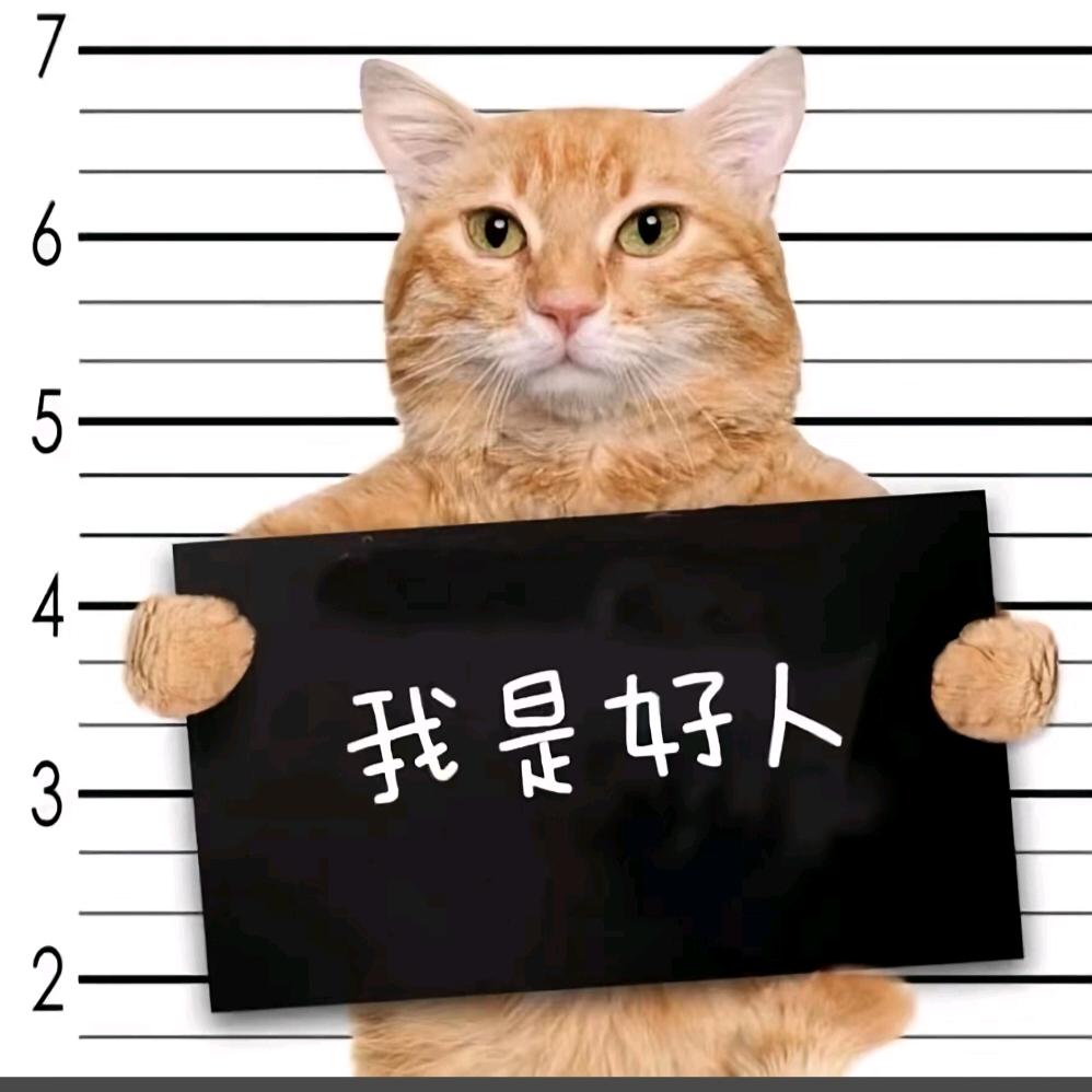 泪水打湿豆豆鞋