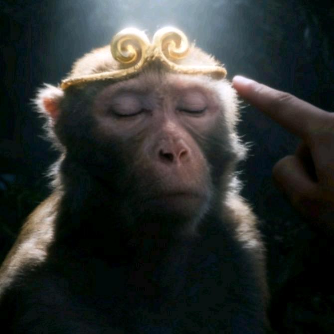 赫本的猫.🚴🏻‍♂️