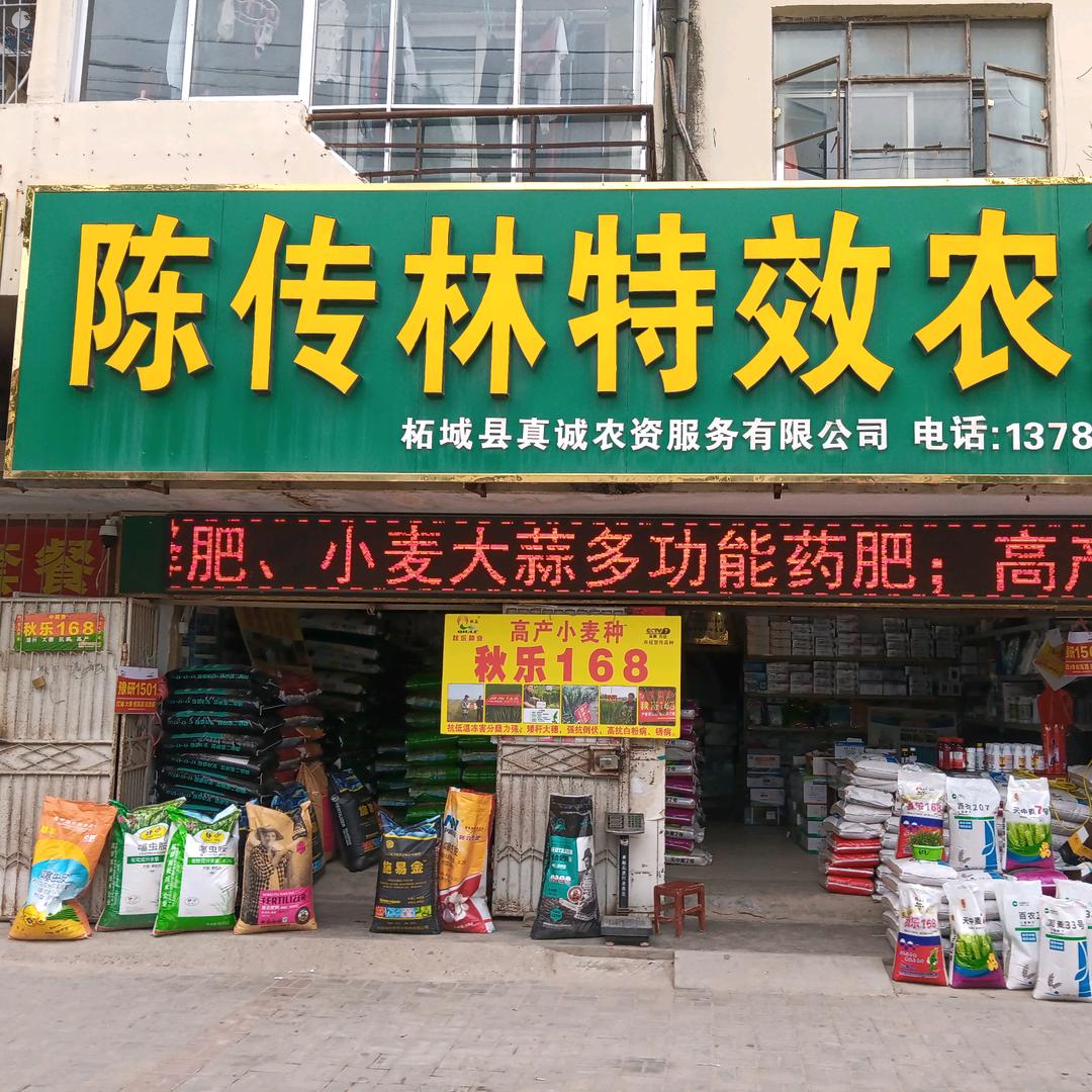 陈传林