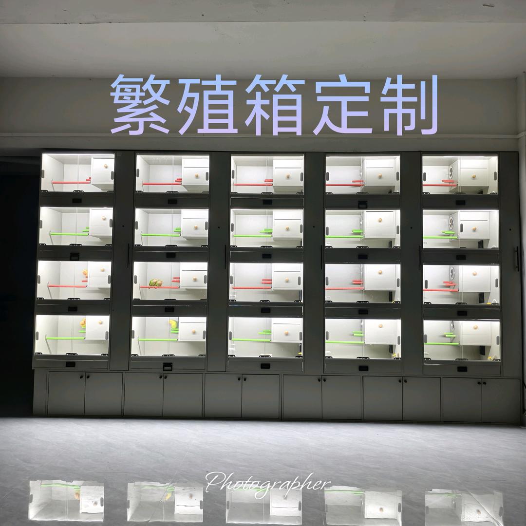 @星辰定制鸟柜🌈