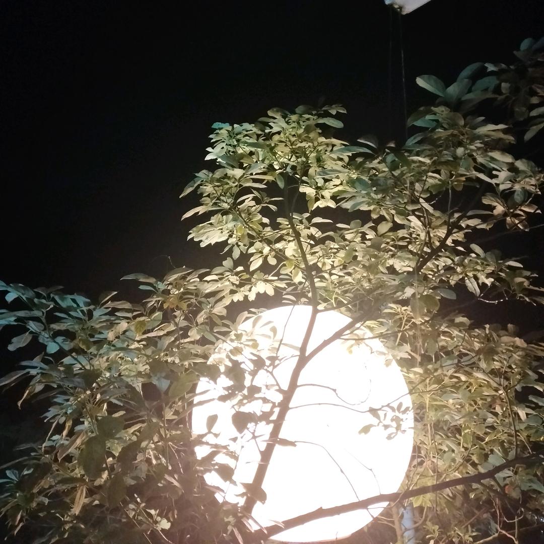 小草莓🍓（拒绝私聊）