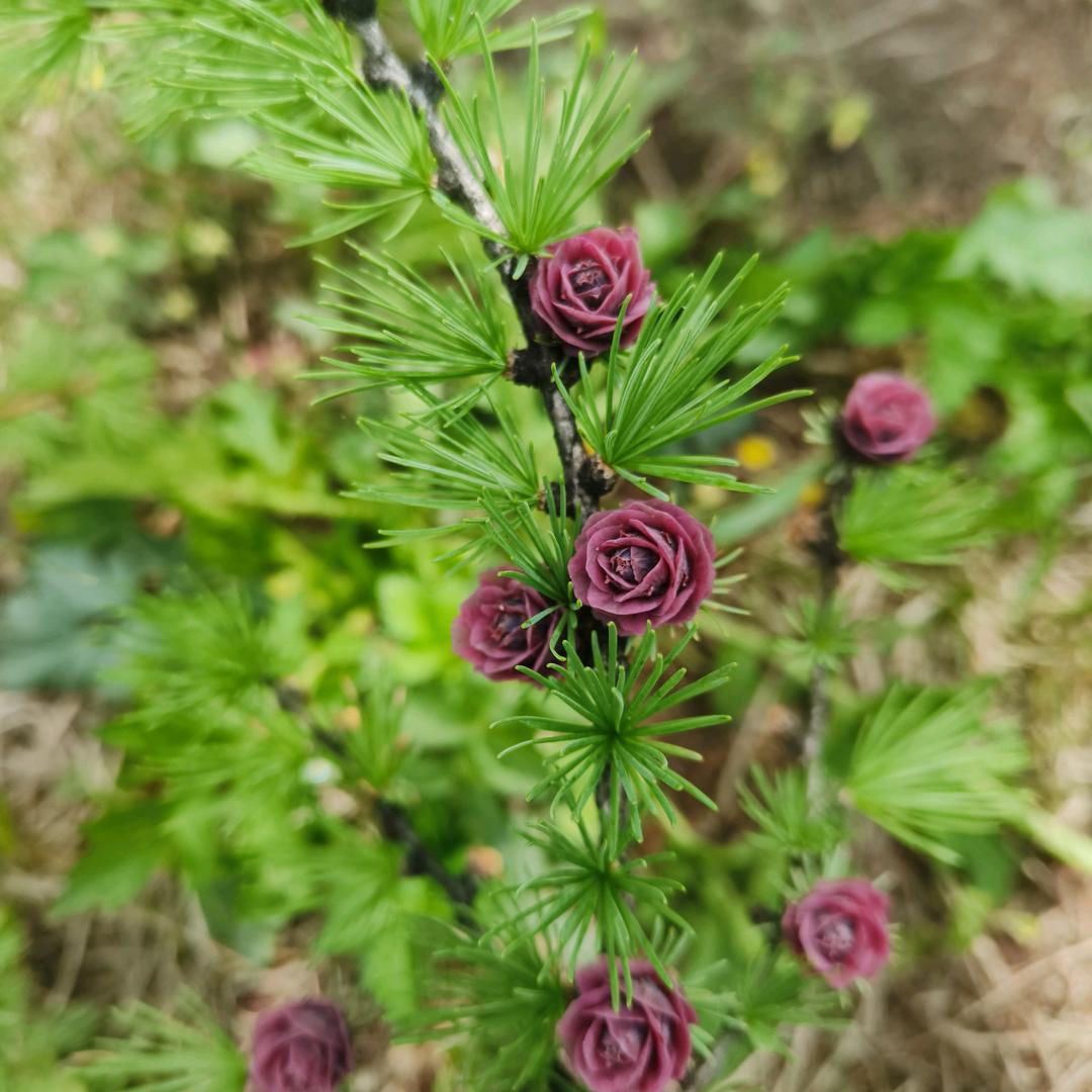 幸福阳光（拒绝私聊）