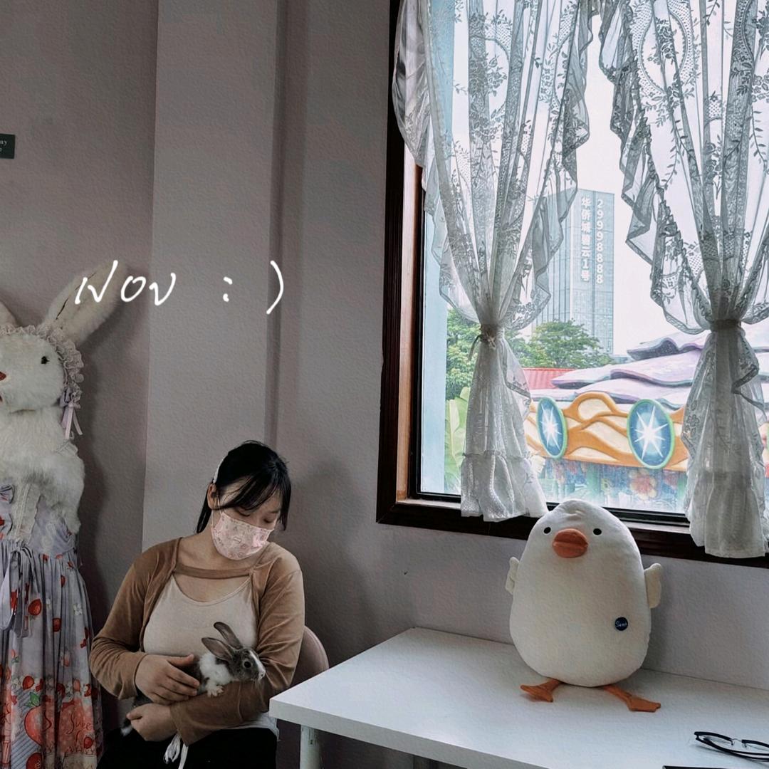 秋秋最欧气.