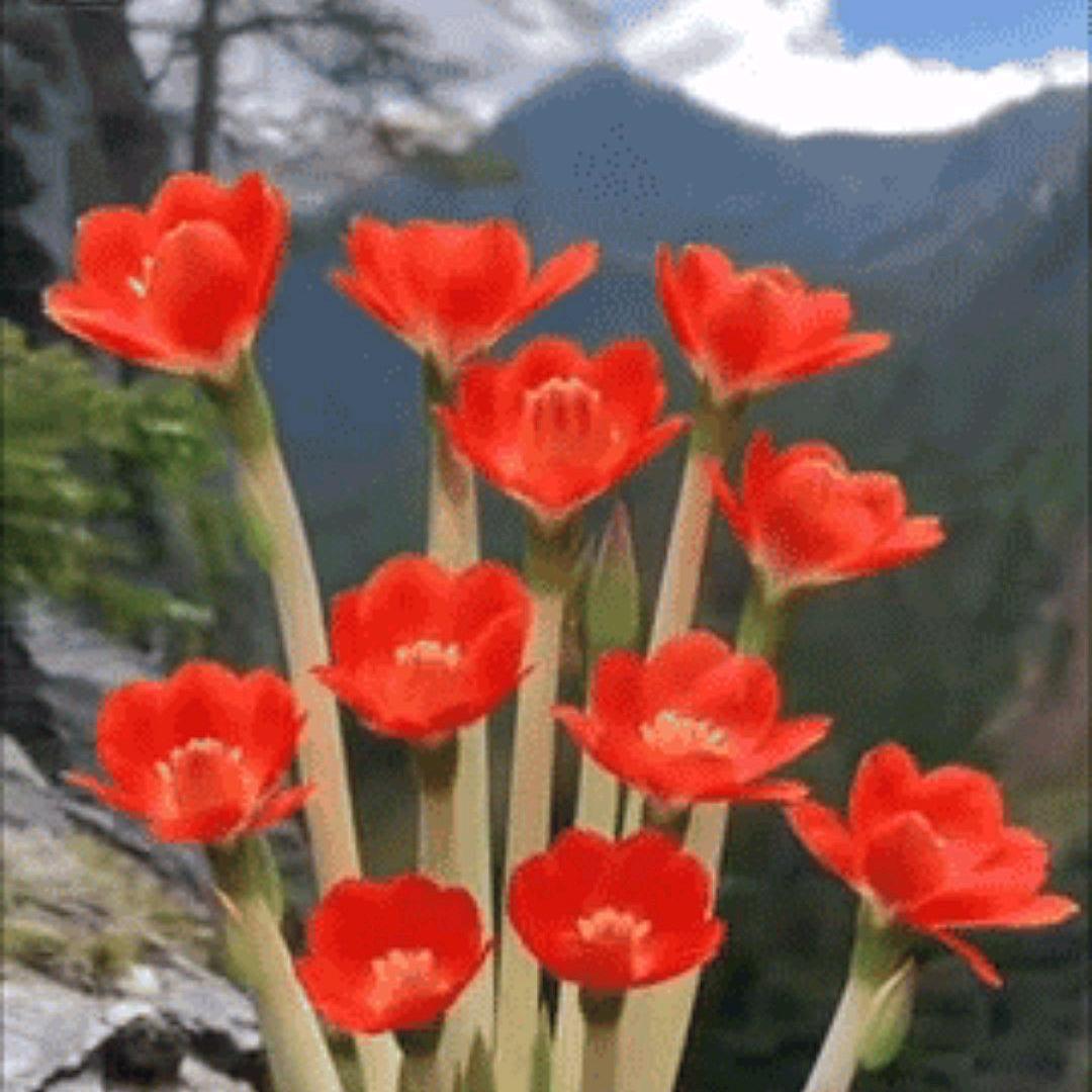 ᭄陈心❤️陈意ꦿᩚ࿐