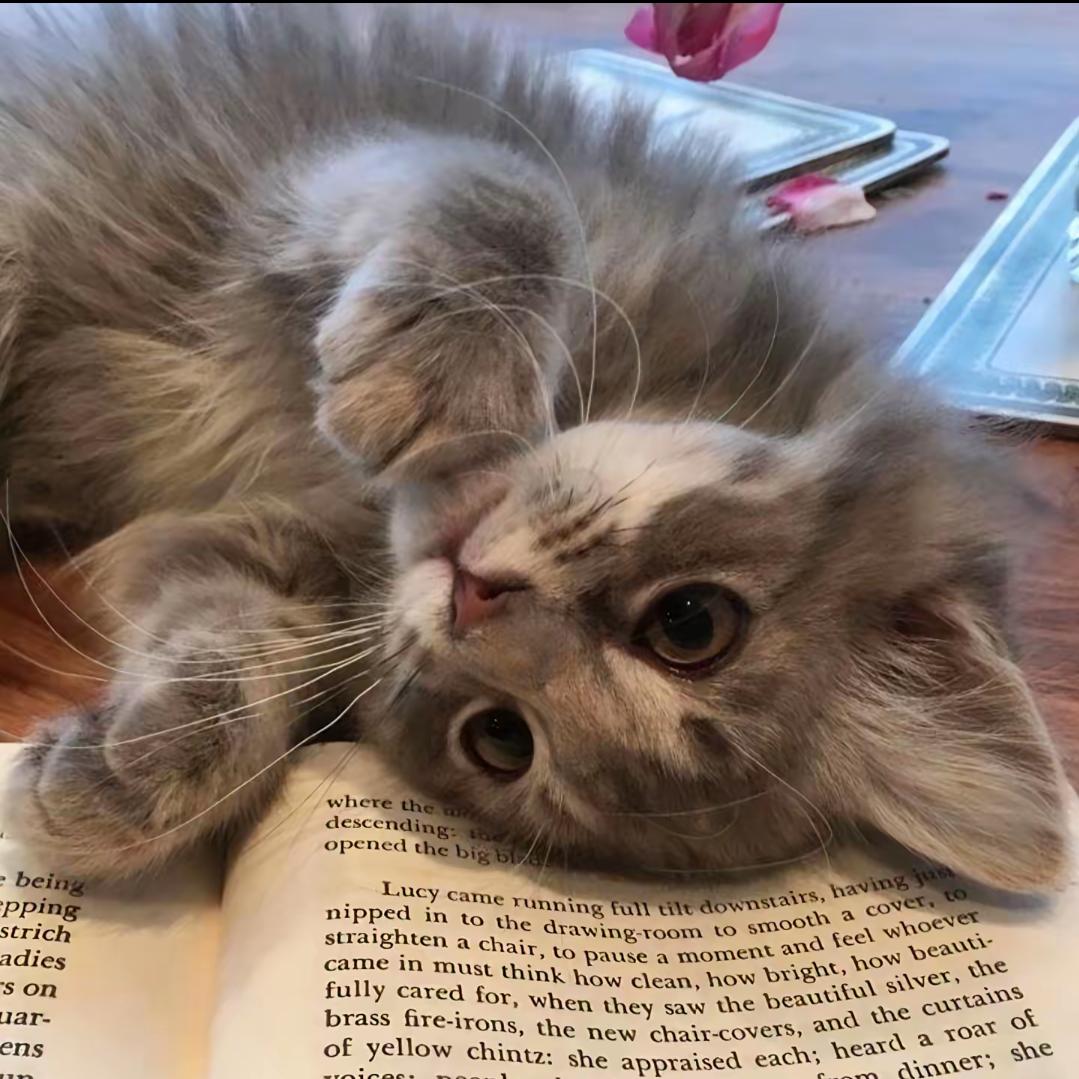 人生云端观景台