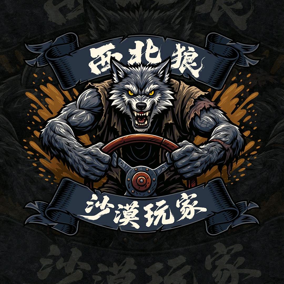 乌海西北狼沙漠玩家越野改装