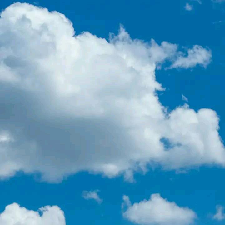 古(●✿∀✿●)