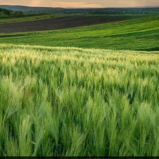 《》一帆风顺☜