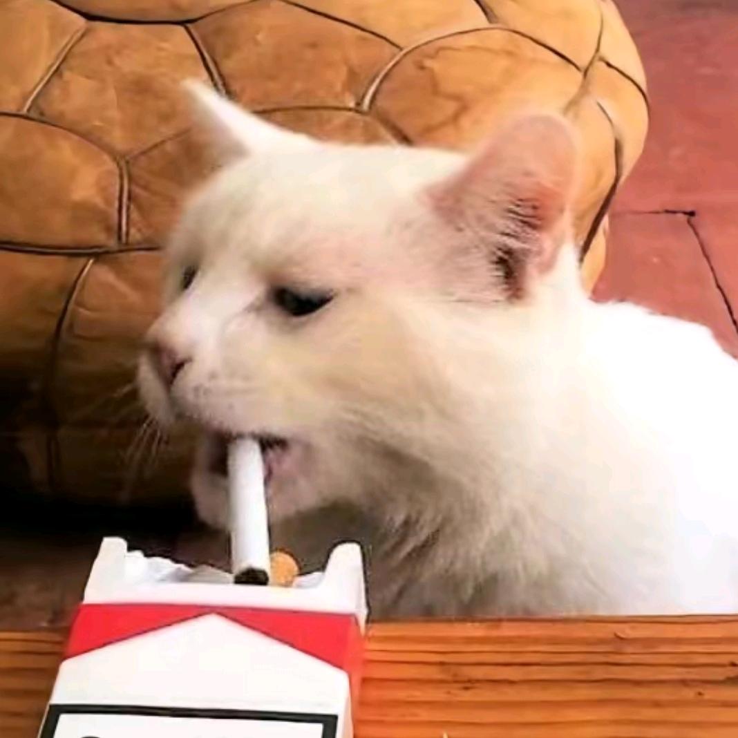 该舍的舍不得只顾着跟往事瞎扯