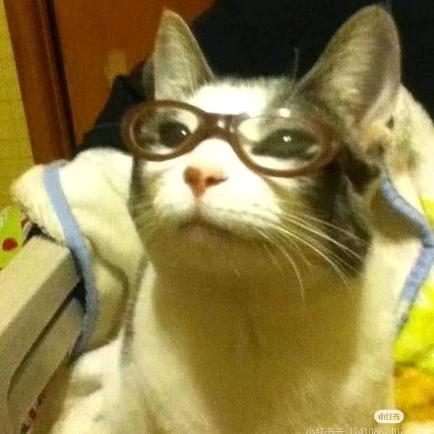 猫摆子