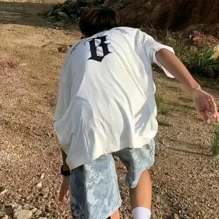海龟回家