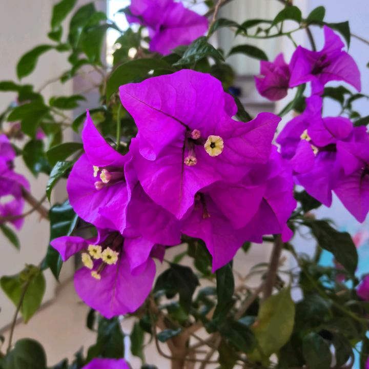 全世界只有你不是路过