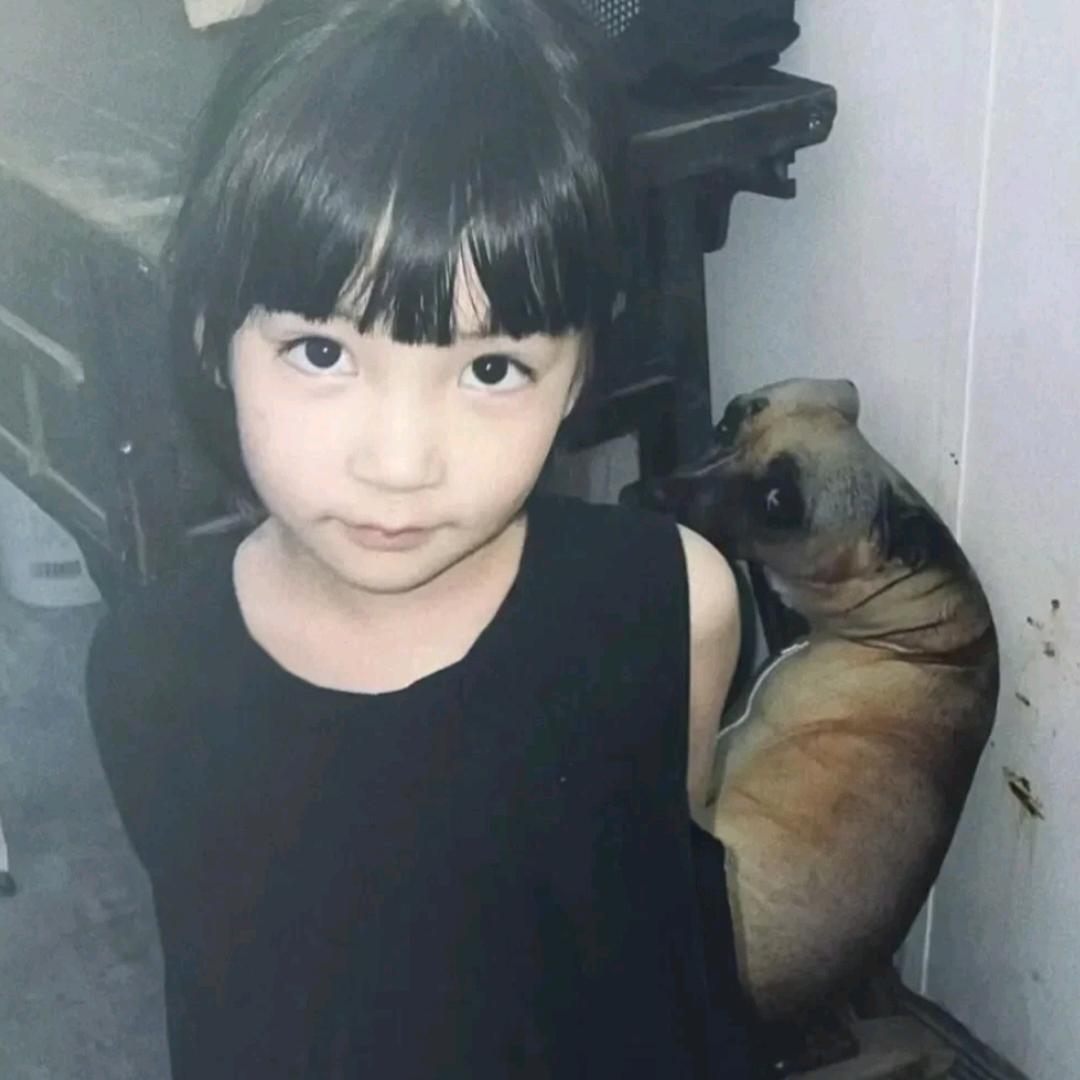 纯情小蛙