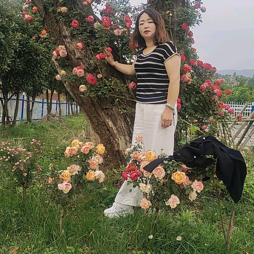 宣威中顺驾校小车培训