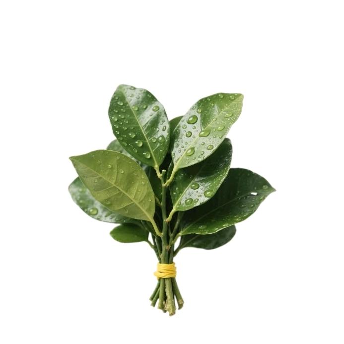 靠近我就是晴天～