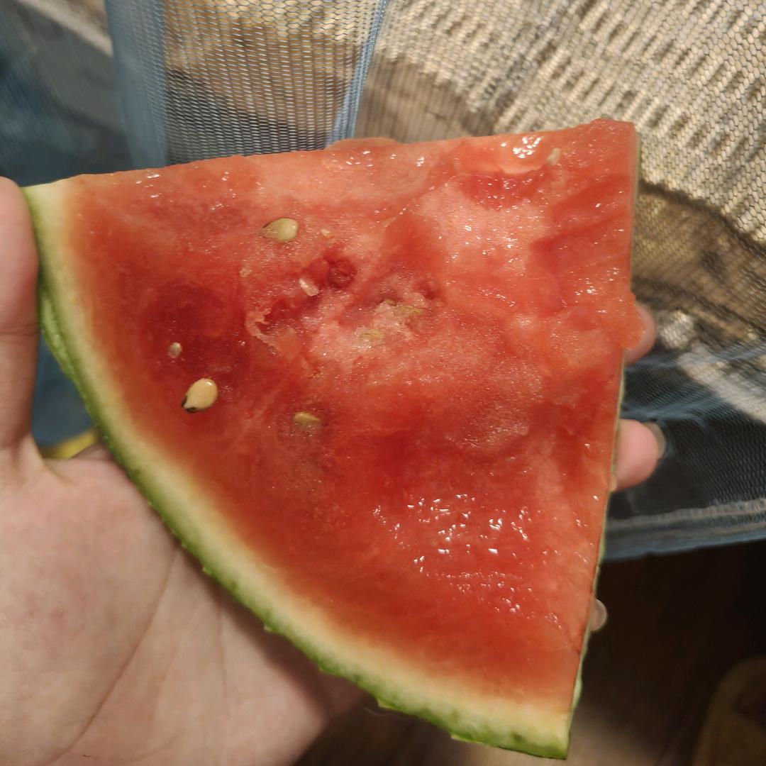 乘浪乘帆破江海