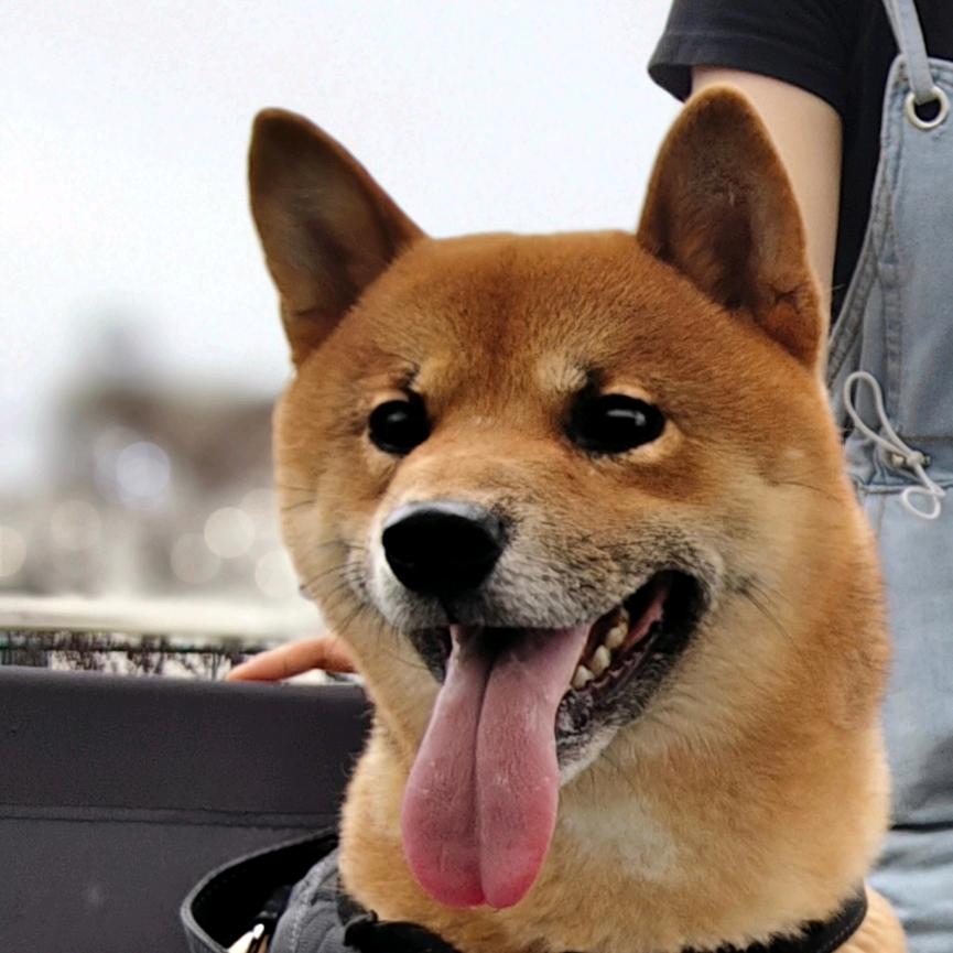 是小U
