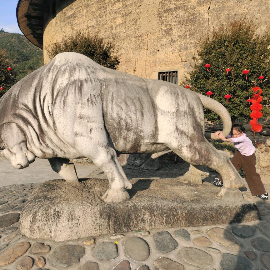 2🐷5🐯
