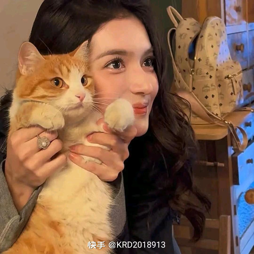 🐈