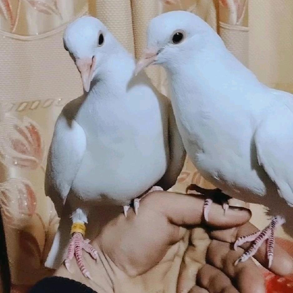 😘💋💋otyurak😘😘