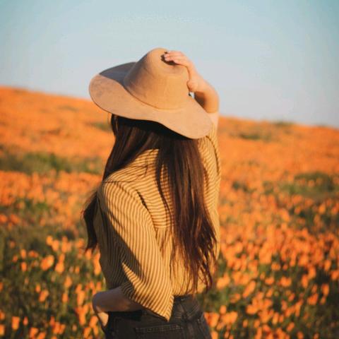 🌽馋嘴丫美食🍭🍭🍭