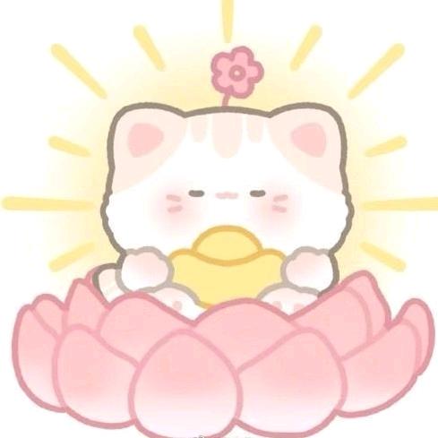 ❣️棉花小姐姐