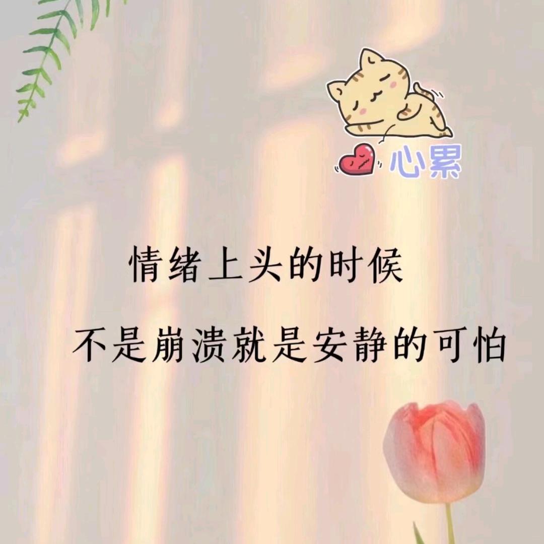 花花🌸