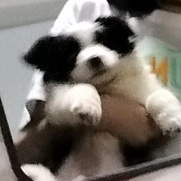 啥？！
