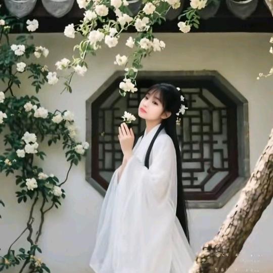 沉@_@默