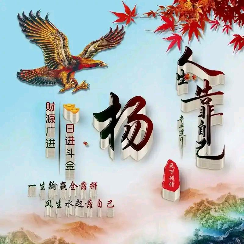 大美菏泽我的家乡