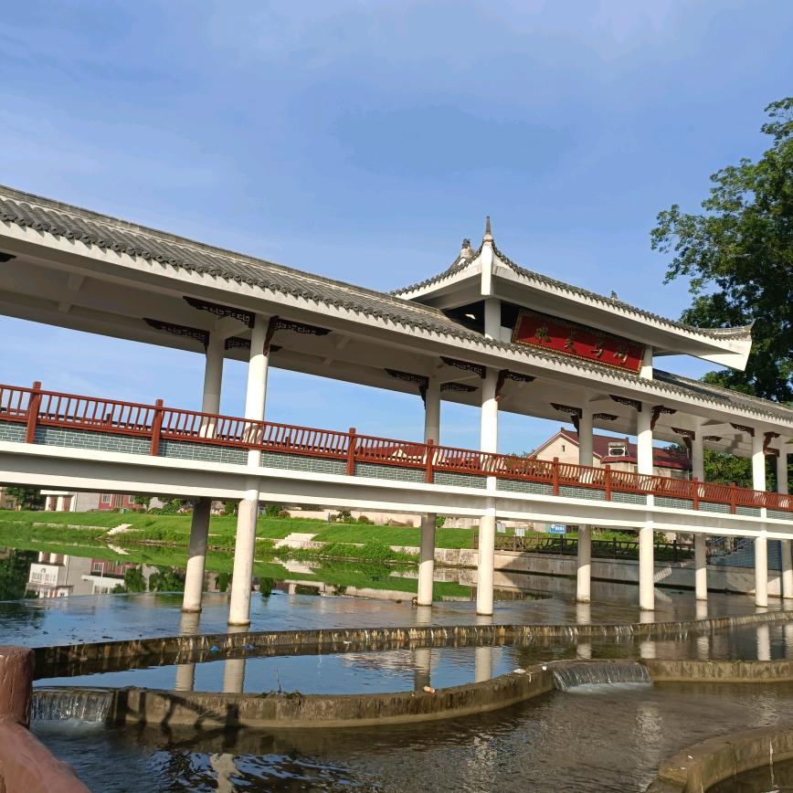 杨家闺女《不要连赞谢谢》