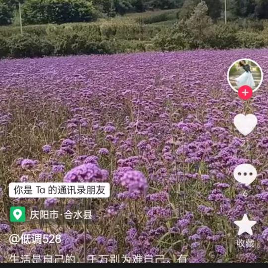 用户萍水相逢🎤