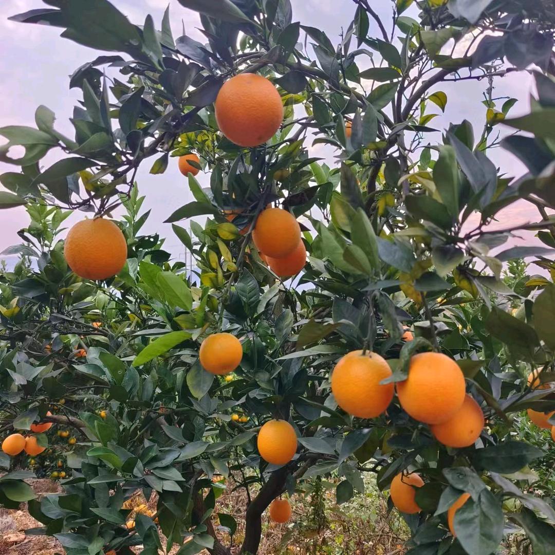 江苏省盐城市滨海县