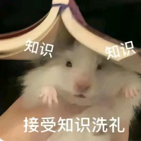 👀小鲤鱼.(高考版)✌