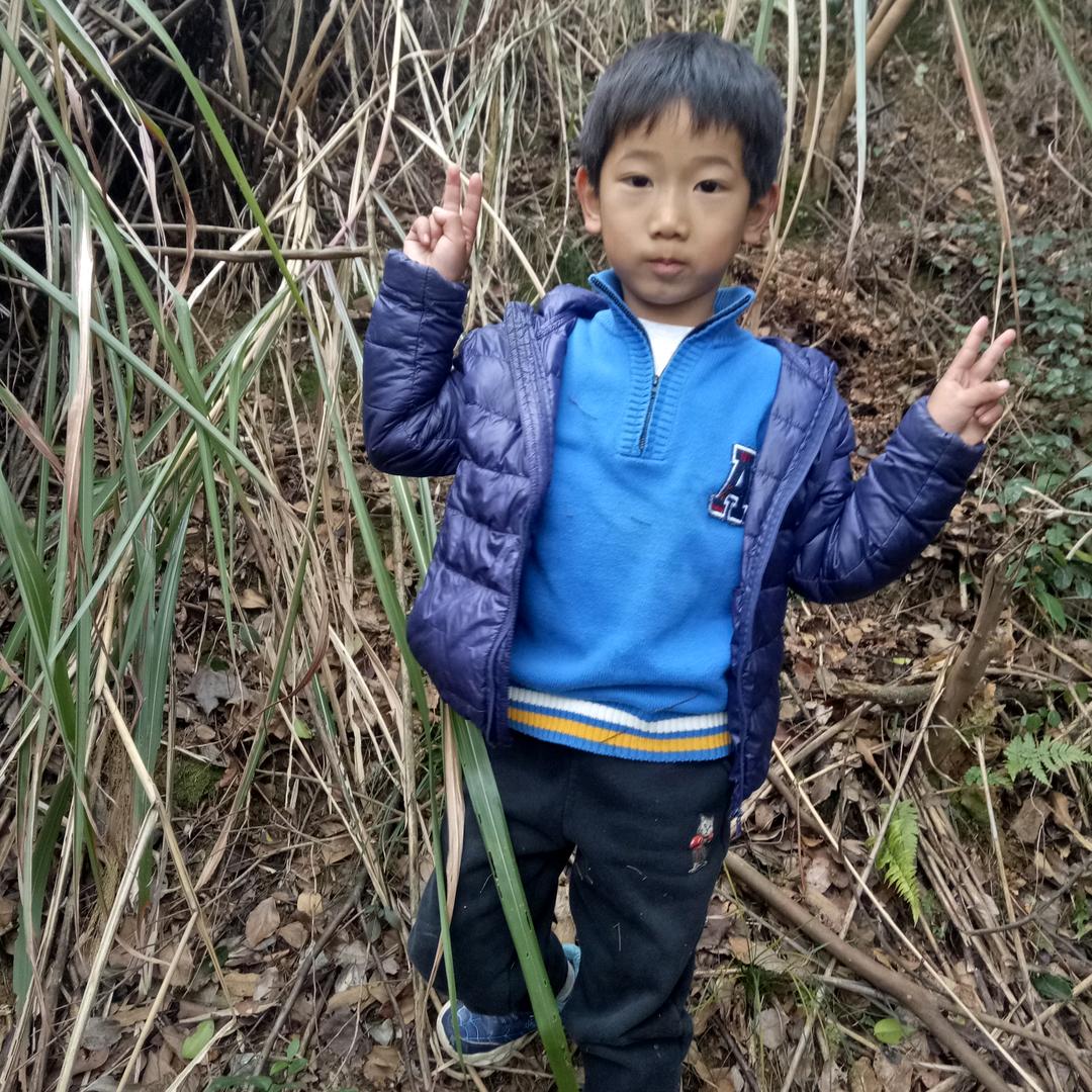 龙行天下