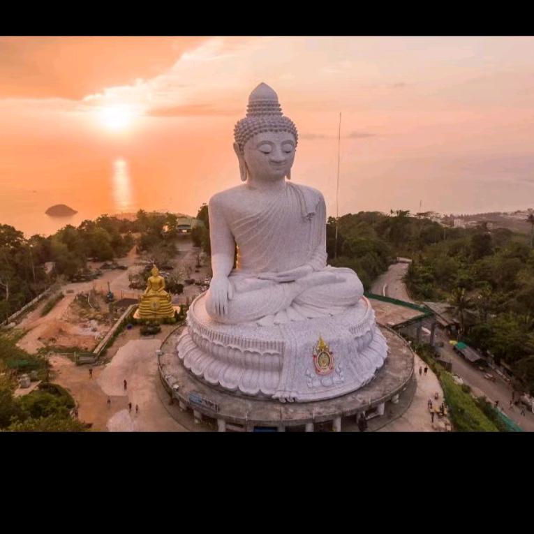 铁公鸡🐔🐔🐔