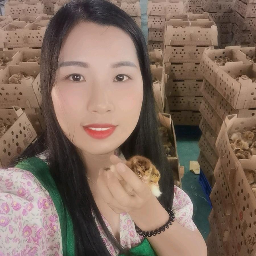 南宁七姐做禽苗