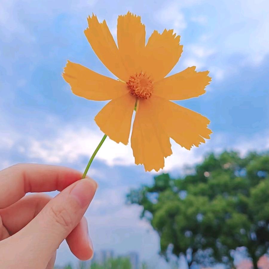 @宇宇宝贝(互粉)