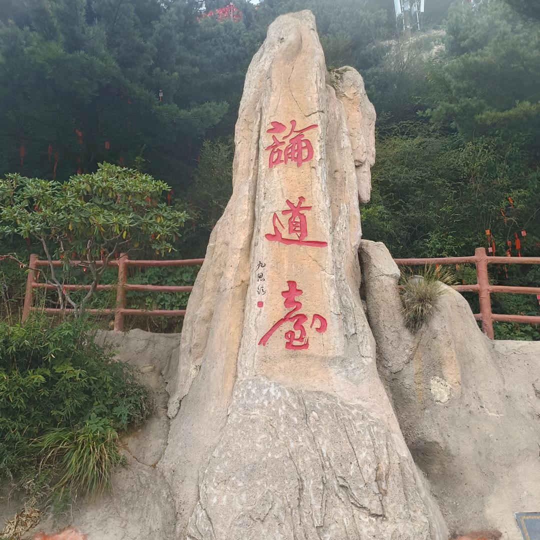 随风