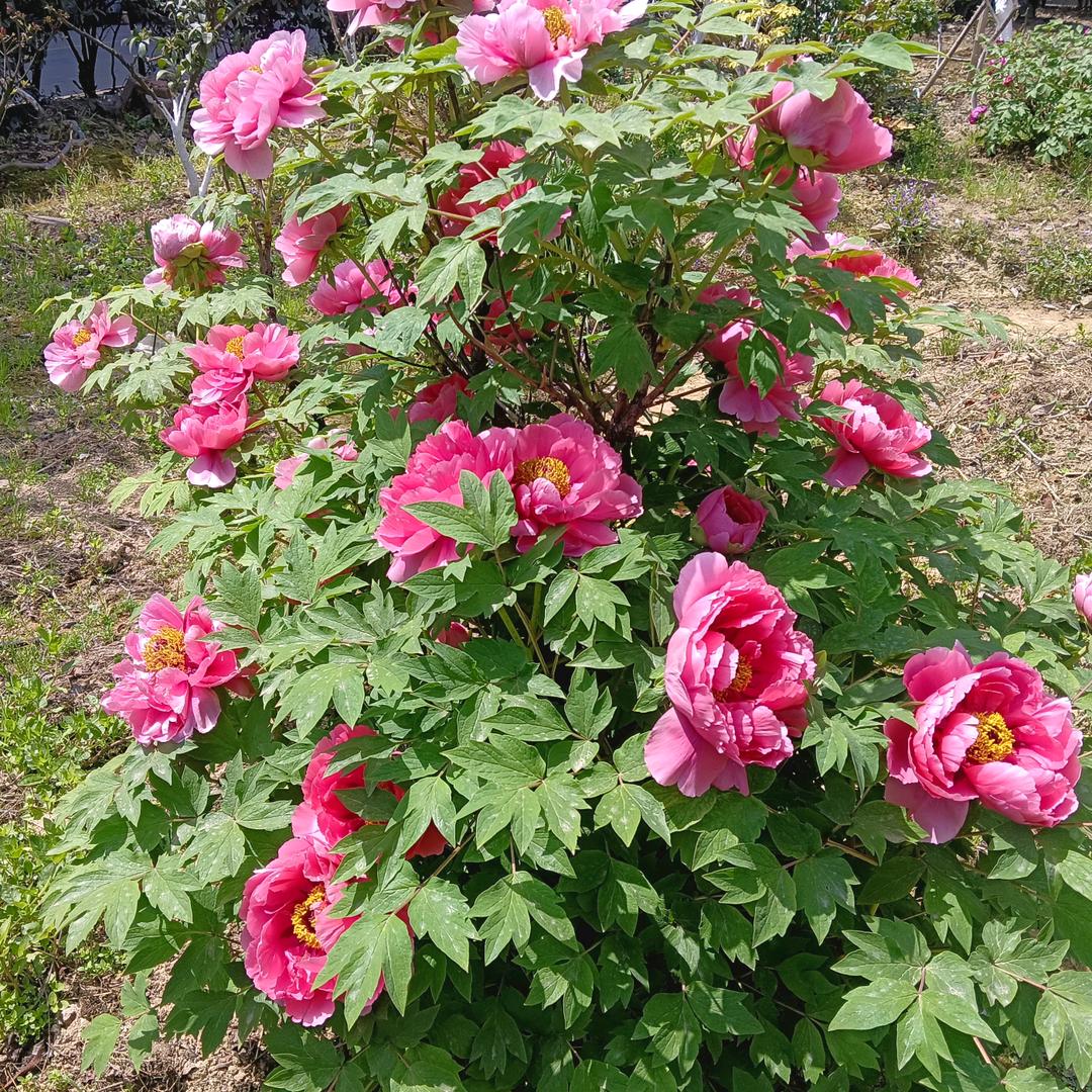 淡然于心