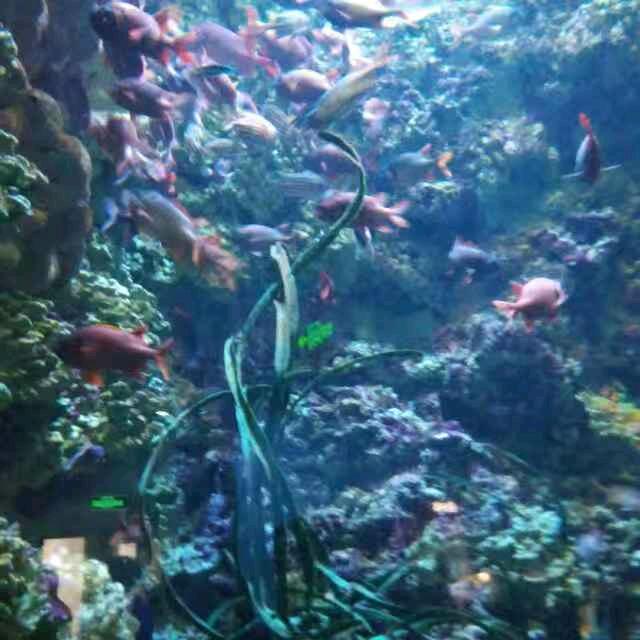 然
