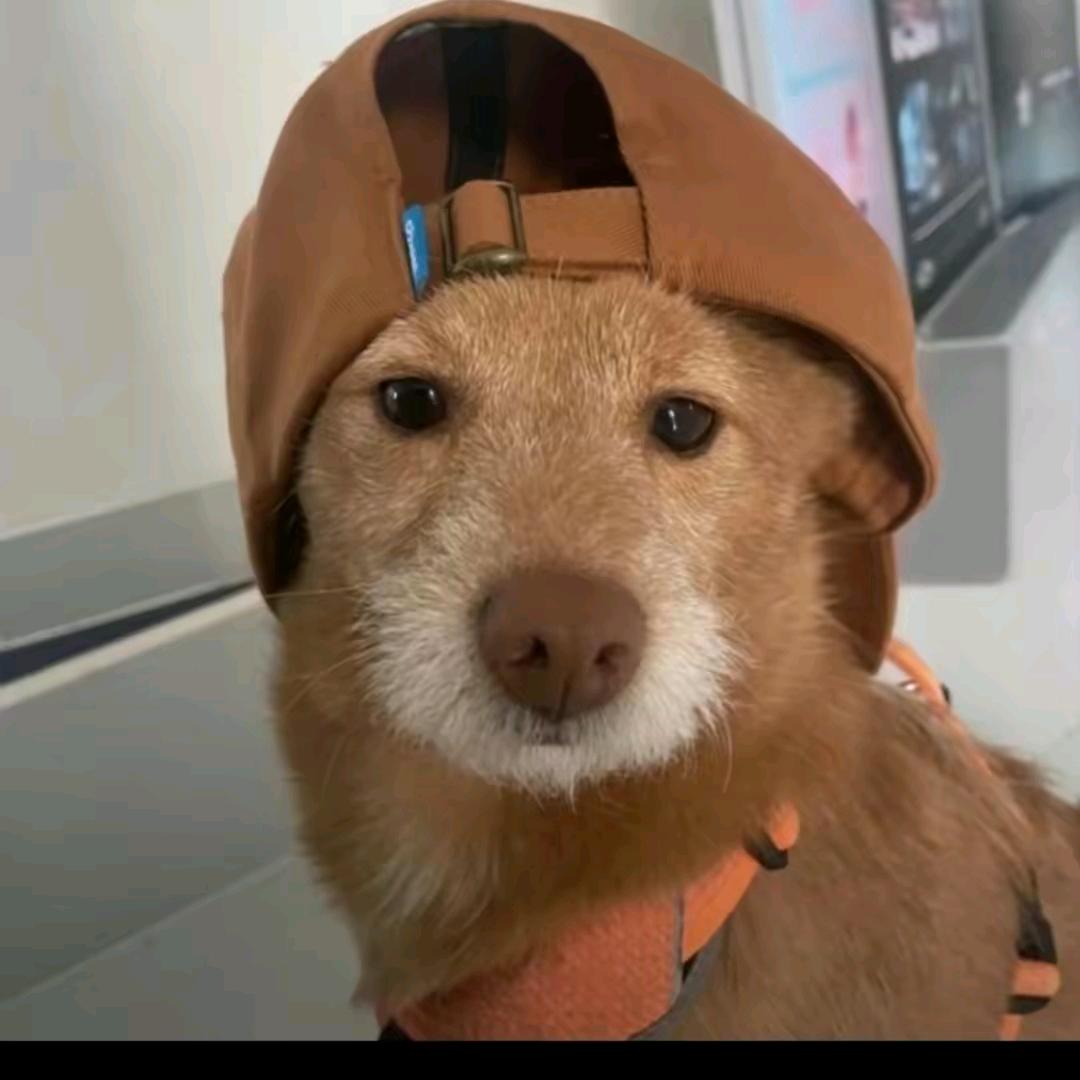 快乐超人🦸‍♂️