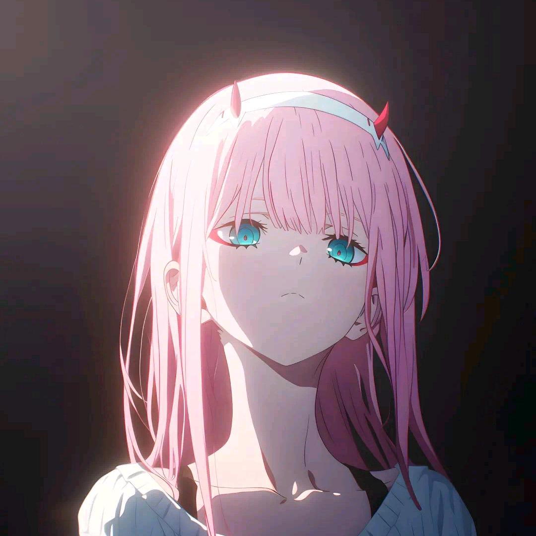爪爪