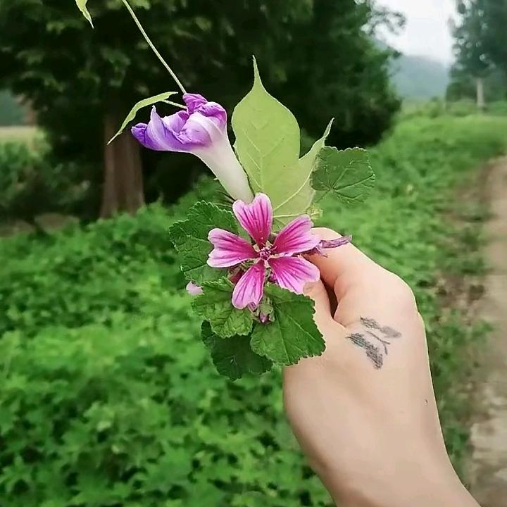 千里共婵娟