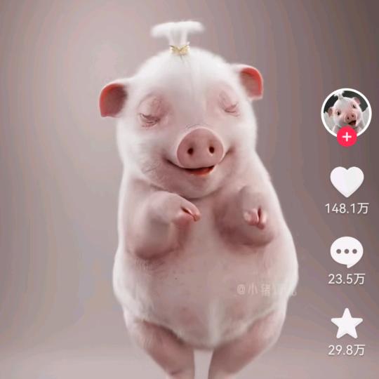 小猪佩奇喵喵