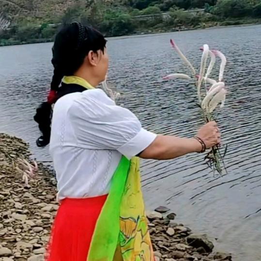 带刺玫瑰