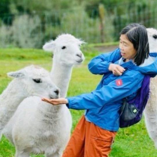 跑跑姐(早6:50) 商务中心